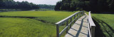 Boardwalk in a Field  Nauset Marsh  Cape Cod  Massachusetts  USA