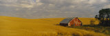 Barn in a Wheat Field  Palouse  Washington State  USA