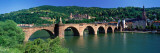 Karl-Theodor Bridge Heidelberg Germany