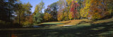 Trees on a Golf Course  Hercules Country Club  Delaware  USA