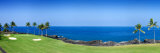 Trees in a Golf Course  Kona Country Club Ocean Course  Kailua Kona  Hawaii