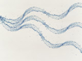 Three Ribbons of Water Drops with White Background