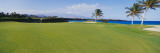 Golf Course  HI