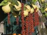 Close-up of Fruits and Vegetable in a Market Stall  San Pietro  Sorrento  Naples  Campania  Italy