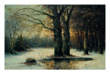 Snowfall in the Wood