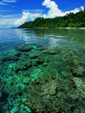 The Island of Walea