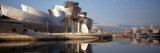 Reflection of a Museum on Water  Guggenheim Musuem  Bilbao  Spain