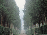 The Walk in the Boboli Gardens Know as the "Viottolone"