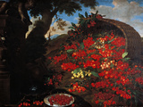 Cherries