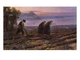 Miazzina  Plowing