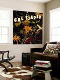 Cal Tjader - Concerts in the Sun