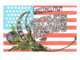 Greetings from Chicago with Flag and Little Portaits in Letters  Illinois