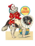 Baby Clown Riding St Bernard