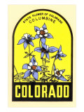 Columbine Decal