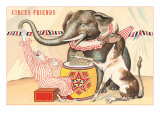 Elephant  Horse  Clown with Blocks