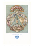 Five Eighteenth Century Fans