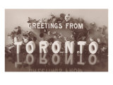 Greetings from Toronto