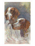 Two Pointers