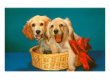 Spaniel Puppies in Basket with Red Bow