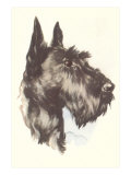 Scottie Dog