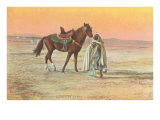 Arab Horseman
