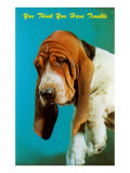 You Think You Have Trouble  Mournful Basset Hound