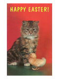 Happy Easter  Kitten and Chick