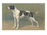 Pointer