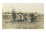 Farm Family with Pinto Horse