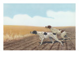 Pointers in Field