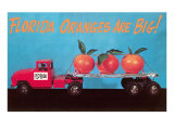 Florida Oranges Are Big  Three Oranges on Toy Flatbed