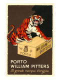 Port Wine Tiger