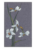 Wild Irises
