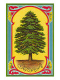 Cedar of Lebanon  Arabic Script