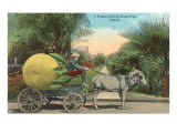 Giant Grapefruit on Cart