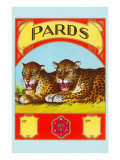 Two Snarling Leopards