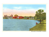 Skyline  Orlando  Florida