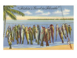 Fishin's Good in Florida