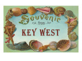 Souvenir from Key West  Florida