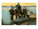 Porpoise on Boat  St Petersburg  Florida