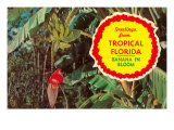 Greeting from Tropical Florida  Banana in Bloom
