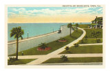 Bay Shore Drive  Tampa  Florida