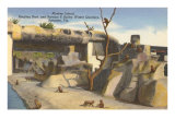 Monkey Island  Circus Quarters  Sarasota  Florida