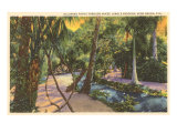 McKee Jungle Gardens  Vero Beach  Florida