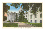 State Capitol  Tallahassee  Florida