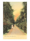 Ocean Avenue  Palm Beach  Florida