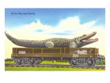 Giant Alligator on Flatbed  Florida
