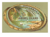 Souvenir from Sanibel Island