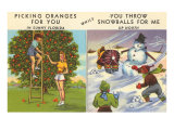 Oranges Versus Snowballs