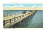 Gandy Bridge  Tampa Bay  Florida
